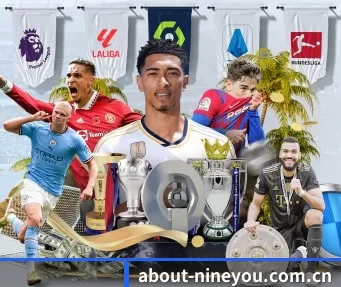 about-nineyou.com.cn APP
